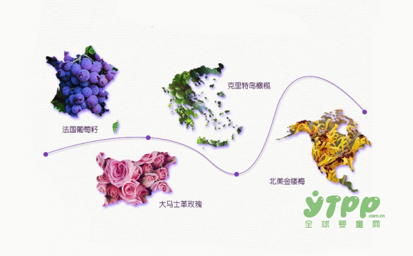诗丸Dr.soins孕妇精华液   24小时渐进释水•赋活修护传奇