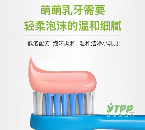 婴儿牙膏怎么选 小树苗婴儿牙膏专注宝宝乳牙的保护