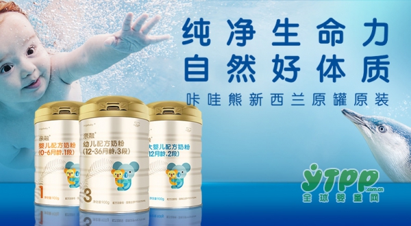 恒大咔哇熊宝婴幼儿配方奶粉   领衔宝宝天生保护力