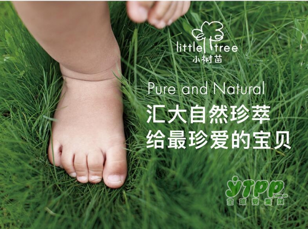 小树苗：牙齿是人的第二副面孔 如何让宝宝拥有好牙