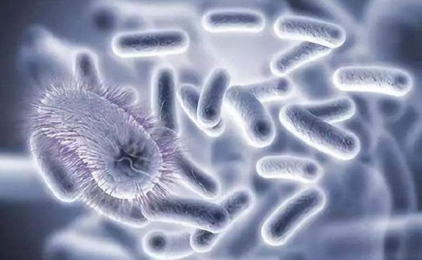 新加坡农粮局发文：召回受阪崎肠杆菌感染的多美滋婴儿配方奶粉