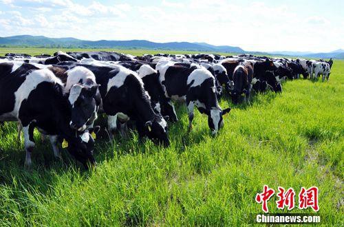 严苛的奶粉新政造就品质好奶 民族奶粉品牌强势崛起