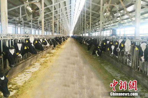 严苛的奶粉新政造就品质好奶 民族奶粉品牌强势崛起