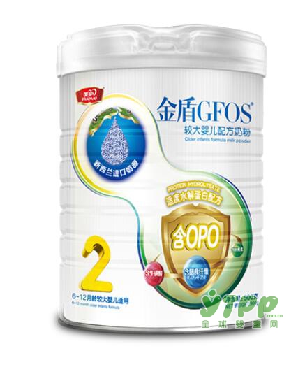 美庐金盾水解蛋白幼儿配方奶粉    呵护成长健康