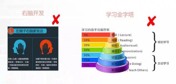 儿童教育为什么要重视脑科学   爱贝睿发起人Dr.魏倾情演绎