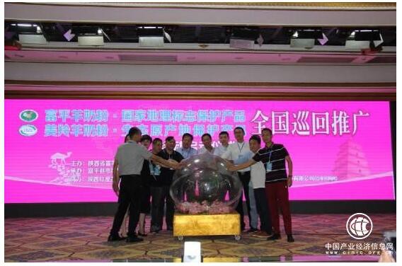 第15届中国—东盟博览会   红星美羚乳业培育千亿奶山羊产业