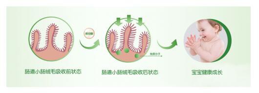 美纳多婴幼儿配方奶粉营养丰富 助力宝宝健康成长