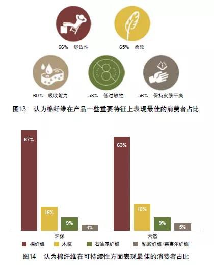 全球婴儿纸尿裤和湿巾市场的现状与展望