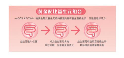 多美滋初颖羊奶粉DHA+AA组合 助力宝宝健康成长