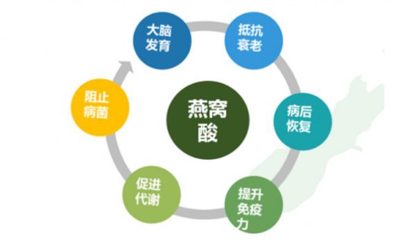 纽希康乳铁蛋白调制羊乳粉，精选配方，营养丰富！