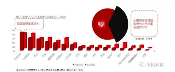 看见纸尿裤消费增长力 深度解析你所不了解的母婴五大人群