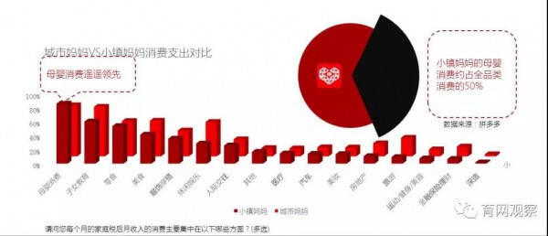 看见纸尿裤消费增长力 深度解析你所不了解的母婴五大人群