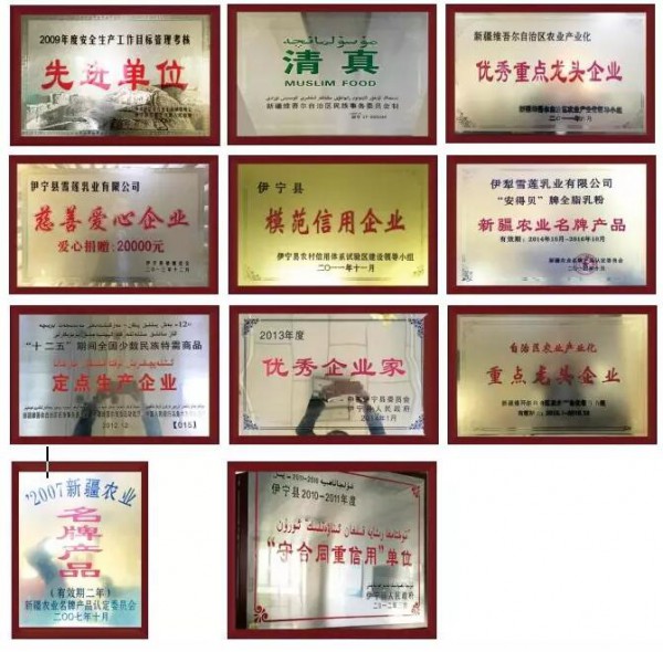 新疆伊犁雪莲乳业有限公司诚邀全国代理经销商加盟