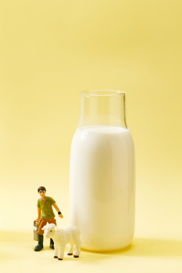 接近母乳营养—谱恩绵羊奶粉更加适合宝宝体质