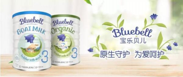 Bluebell宝乐贝儿年度盘点：手握两大明星产品，以品质收获消费者信任