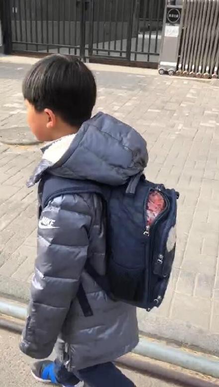 #小学生背5斤枸杞上学走红#     如何预防儿童近视