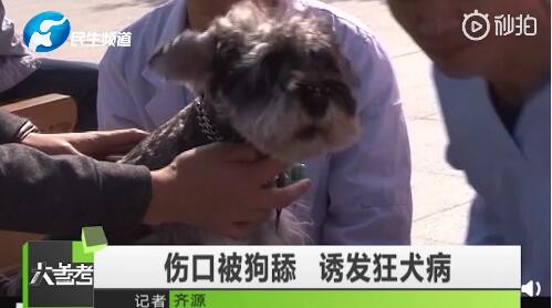 9岁男孩被狗舔了一口 40天后发病死亡 狂犬病如何预防