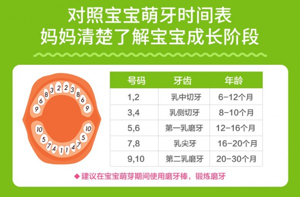亨氏儿童磨牙棒 万千妈妈的选择