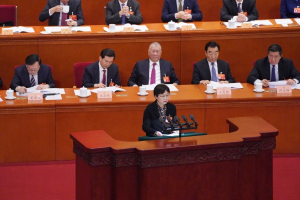 全国政协十三届二次会议政协委员高小玫：育儿负担是少生重要原因