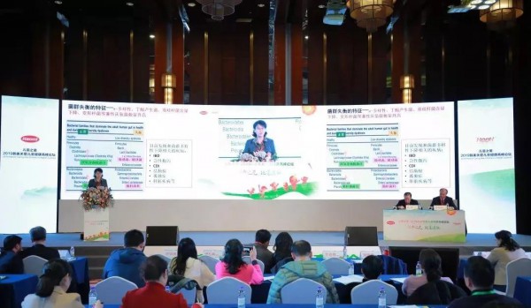 经典之光·锐意进取|儿童之星2019韩美关爱儿童健康高峰论坛九城同步上演！