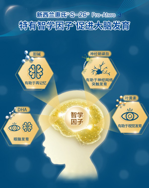 什么是神经鞘磷脂   惠氏S26婴幼儿A2蛋白配方奶粉助力宝宝学出非凡