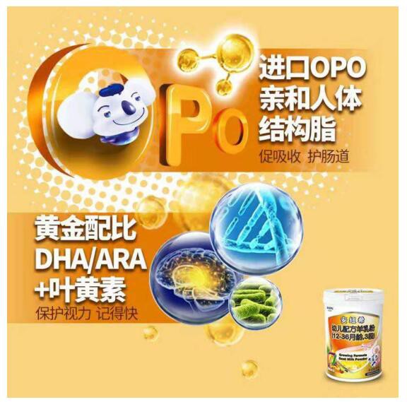 安纽希奶粉全面的多重呵护  让宝宝更健康