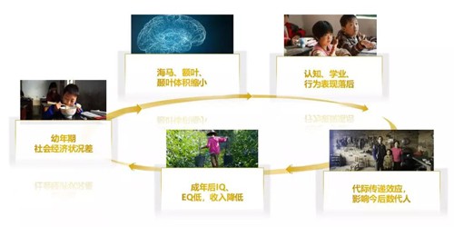 惠氏携手中国红十字基金会联合发起萤之光计划 关注留守宝宝早期发展