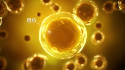 爱他美3（Aptamil3）致力科学喂养——模拟母乳低聚糖的革新成分
