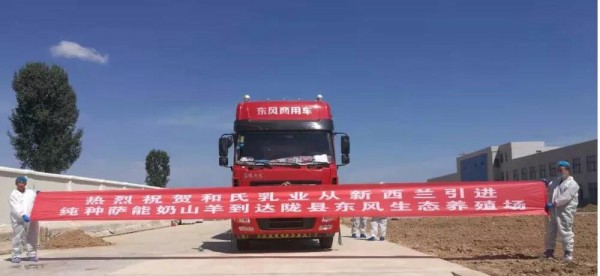 和氏乳业最新事件：明星羊今日正式入住和氏奶山羊生态养殖场