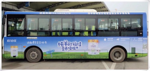 欧铂佳羊奶粉公交巴士广告震撼上线，持续引爆纯羊市场！
