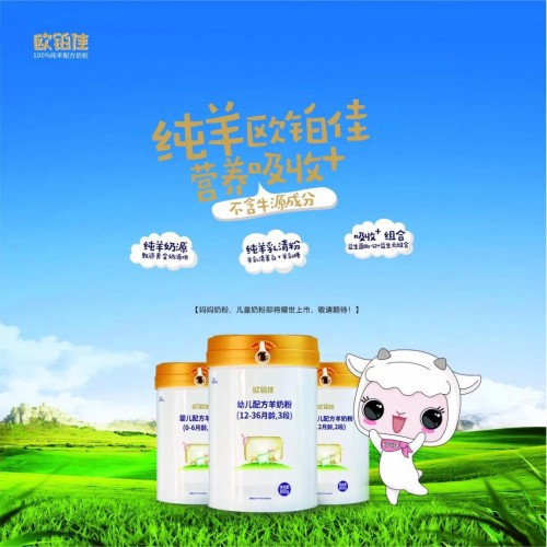 欧铂佳羊奶粉公交巴士广告震撼上线，持续引爆纯羊市场！