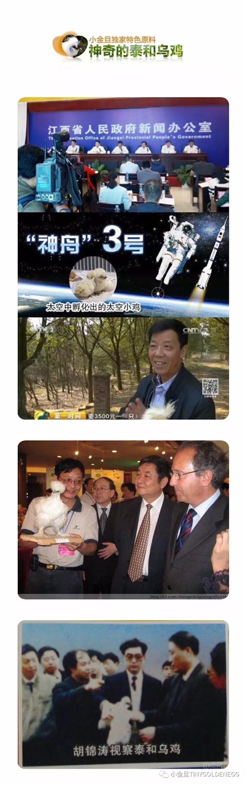小金旦受邀辉煌70年中国档案报社、中央电视台《面孔》栏目组专题采访！