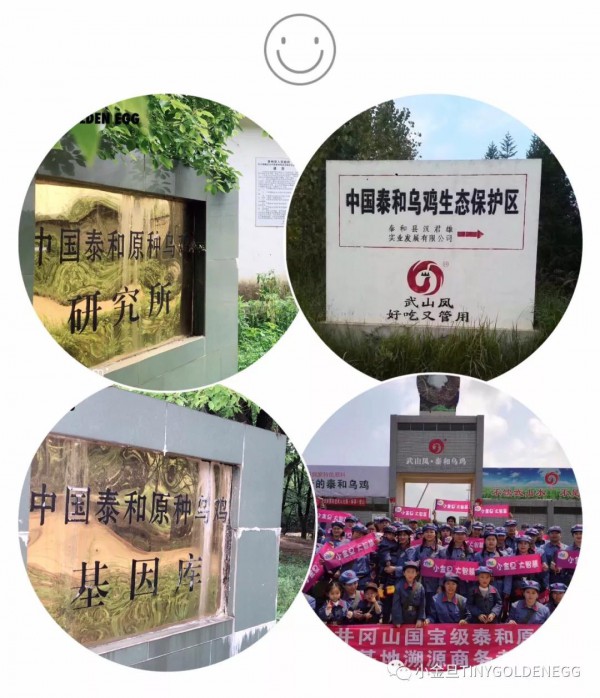小金旦受邀辉煌70年中国档案报社、中央电视台《面孔》栏目组专题采访！