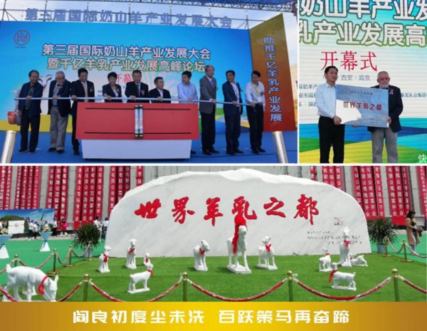 助推千亿羊乳计划，百跃羊乳粉一直在行动！