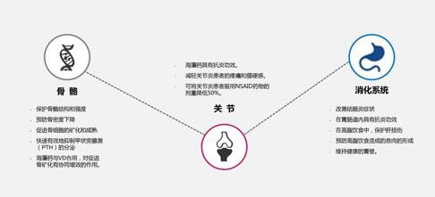 终于等到你 诺培美“钙”世英雄震撼上市