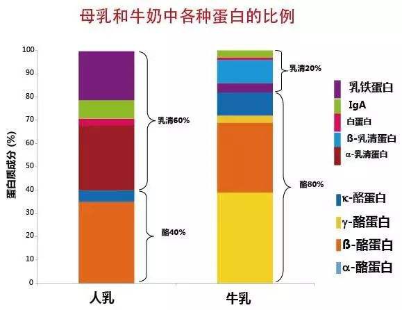 纽盾乳铁蛋白“横空而出” 说是品质高端 既然这么好 怎么以前没听过？