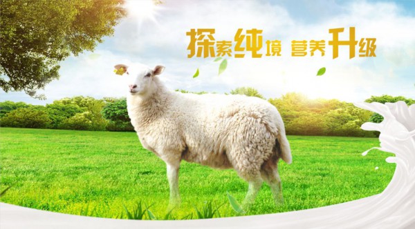抢占羊奶粉细分趋势，谱恩绵羊奶粉新品将震撼上市