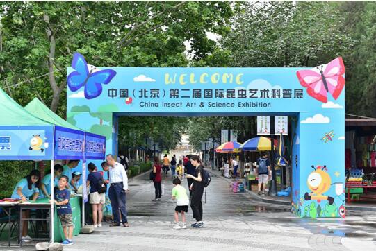 思享汇自然教育：以昆虫艺术科普展培养儿童对自然的热爱