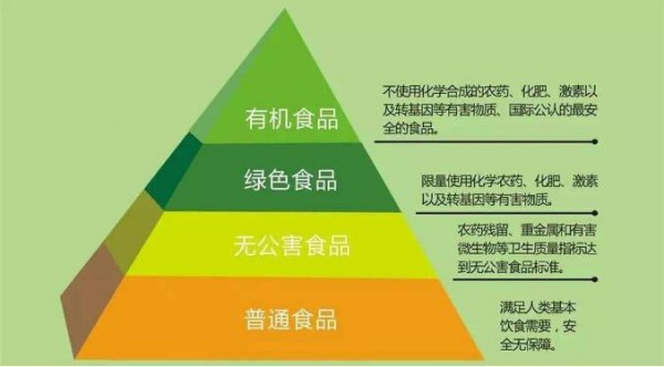 伊威有机营养面条驾到 新配方助力宝宝成长