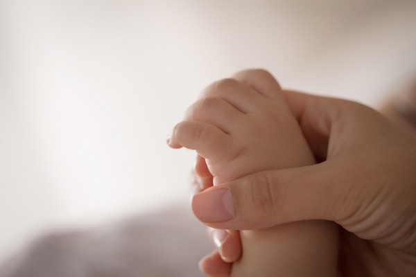 孩子高烧不退确诊为猫抓病 免疫力低下群体更要注意猫抓病