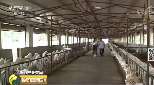 羊奶粉销量下降10%？国内乳企需求放缓 国外品牌扎堆入市