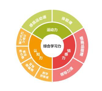 携手筑梦金色雨林—金色雨林创始人林薇老师谈素质教育实践