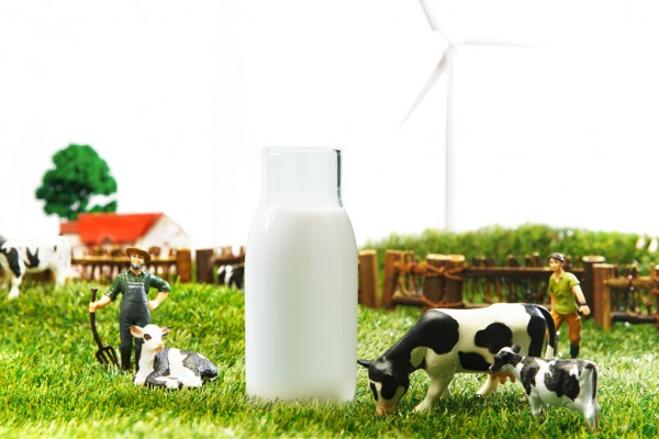 炼乳发明商、百年企业Borden申请破产！背后的原因是……