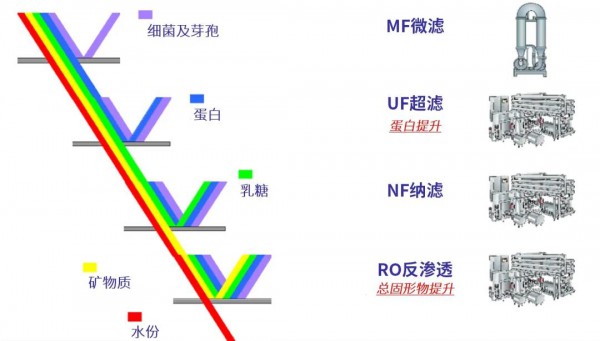 超滤搭档VTIS，引领高端白奶市场新动能