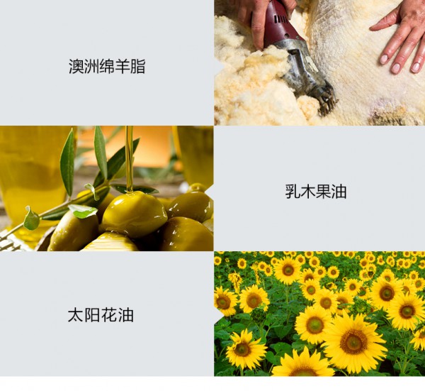 菲丽洁绵羊脂婴幼儿润肤油 甄选澳洲小绵羊油 清爽易吸收 给宝宝爱的抚触