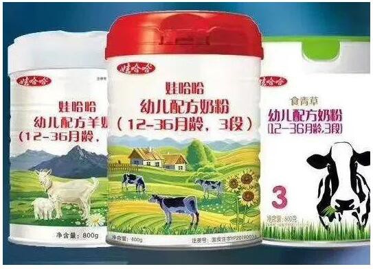 娃哈哈奶粉冒用注册证招商  改头换面继续招商  回避关键问题