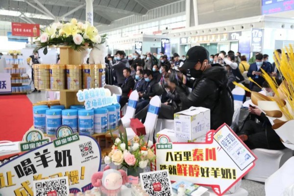 羊奶粉卡位战已上演 百跃“鲜”醇羊奶粉乘高铁而来