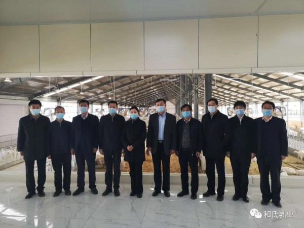 陕西省委副书记贺荣一行莅临和氏乳业参观调研！