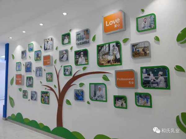 陕西省委副书记贺荣一行莅临和氏乳业参观调研！