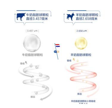 佳贝艾特羊奶粉排行榜榜上有名  名副其实